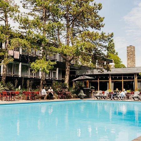 Badhotel Rockanje Exteriör bild